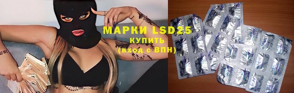 твердый Зеленодольск