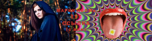 прущие крисы Зеленокумск
