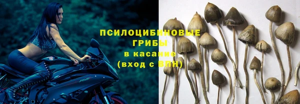 прущие крисы Зеленокумск