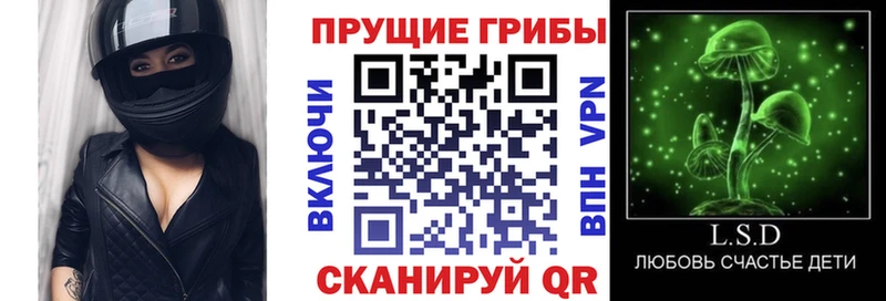 Купить где  Камень-на-Оби  Псилоцибиновые грибы мухоморы 